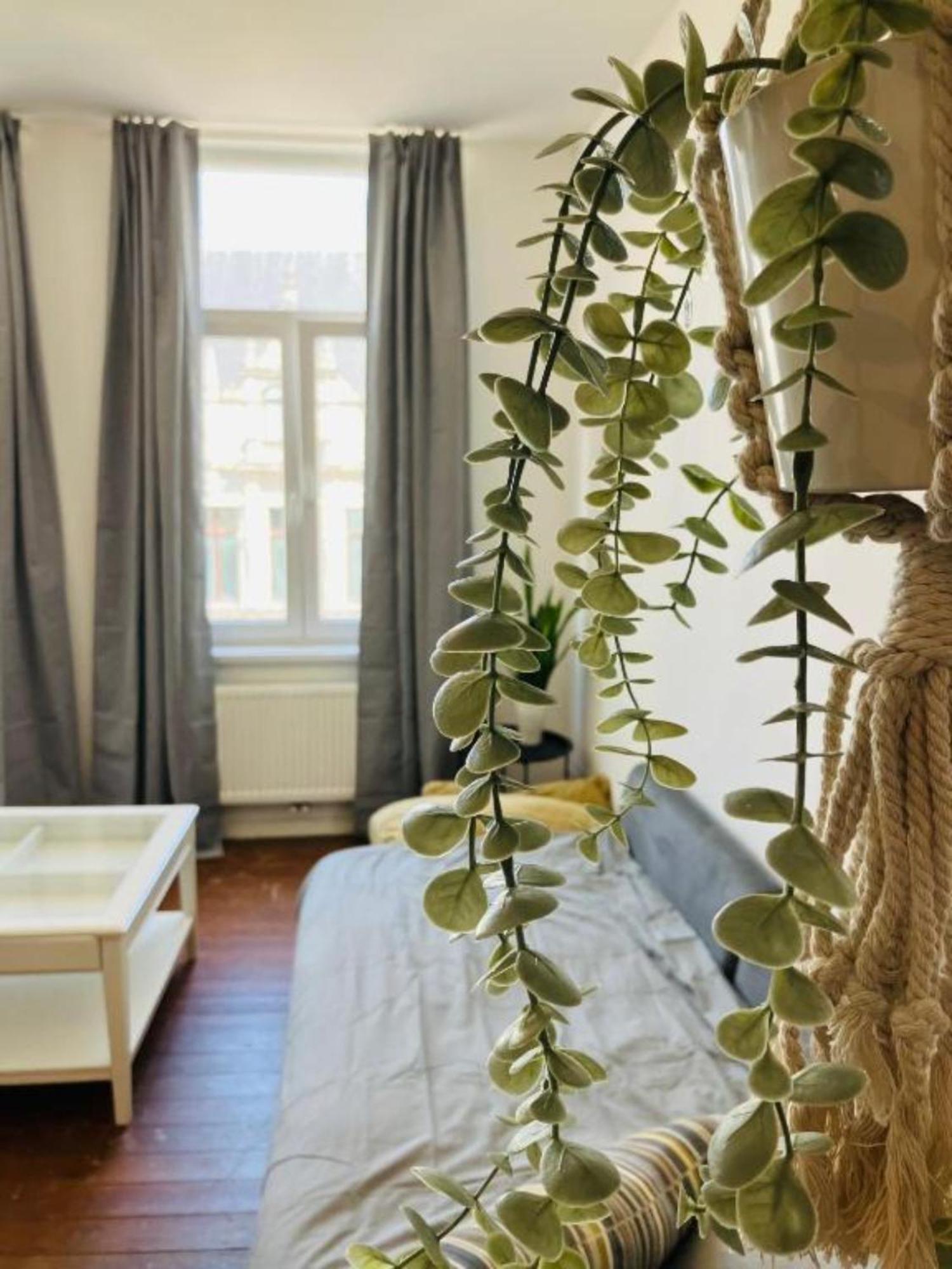 Bnb Suikernest Antwerpen Kültér fotó
